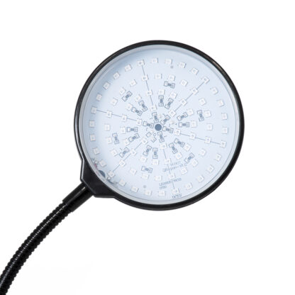 79648 Grow Light Full Spectrum LED Φωτιστικό Ανάπτυξης Φυτών Γλάστρας με 1 Κινούμενη Κεφαλή & Βάση Clip SMD 2835 5W 160° DC 5V IP20 με Dimmer & Timer Εσωτερικού Χώρου για Κάλυψη Επιφάνειας 0.6m x 0.6m Πλήρους Φάσματος Φωτισμού - Image 7